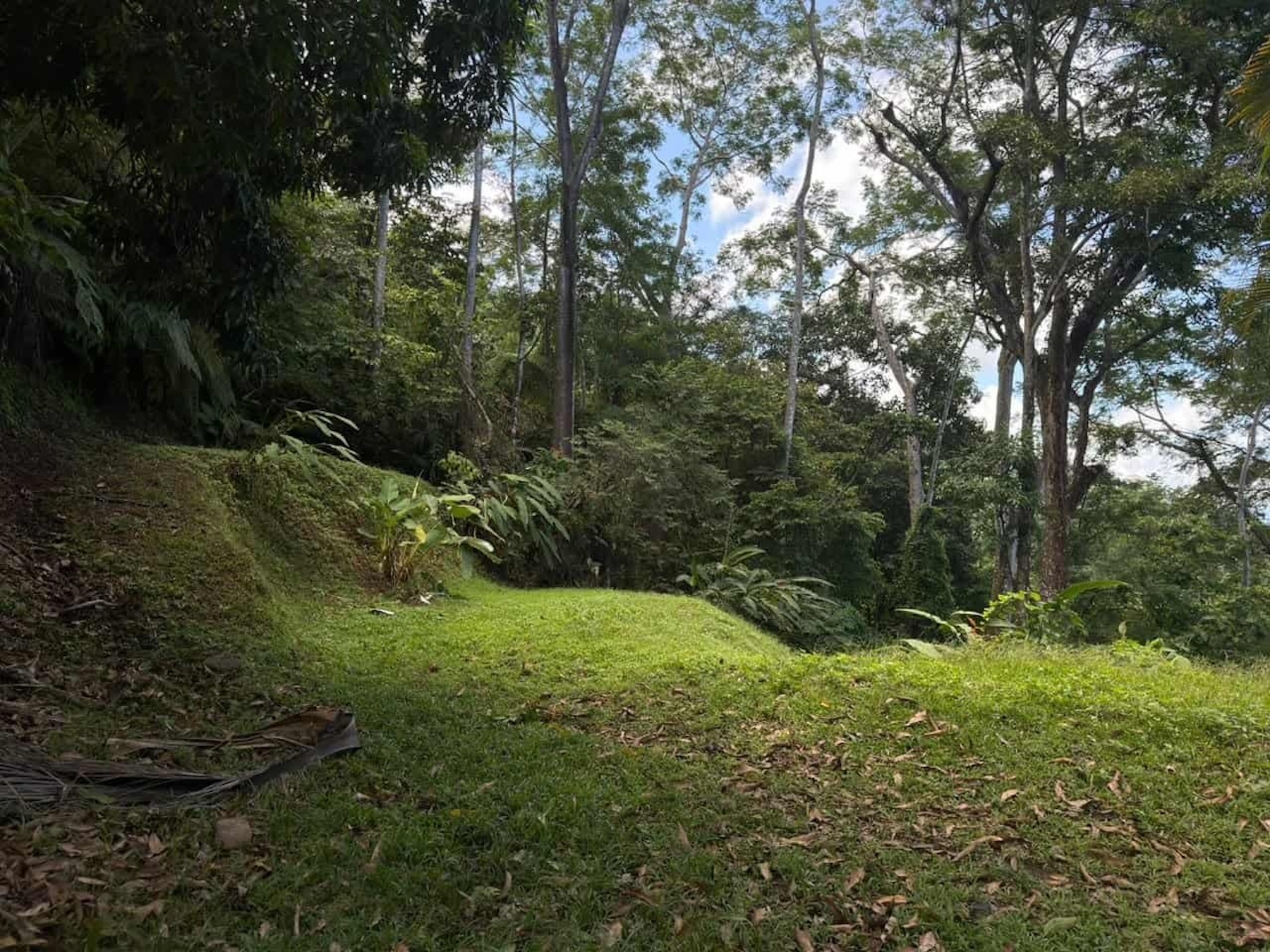 PROPERTY WITH OCEAN, RIVER, AND PRIVATE TROPICAL RAINFOREST VIEWS, IN MATAPALO – 13.98 ACRES