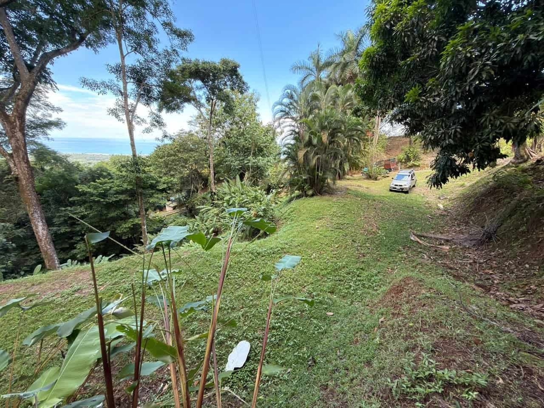PROPERTY WITH OCEAN, RIVER, AND PRIVATE TROPICAL RAINFOREST VIEWS, IN MATAPALO – 13.98 ACRES