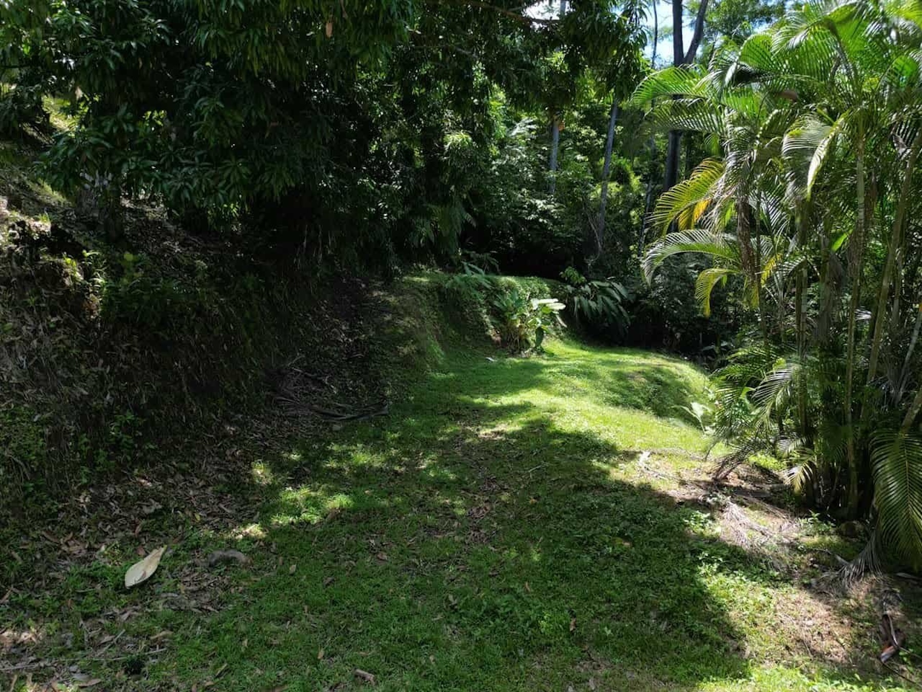 PROPERTY WITH OCEAN, RIVER, AND PRIVATE TROPICAL RAINFOREST VIEWS, IN MATAPALO – 13.98 ACRES