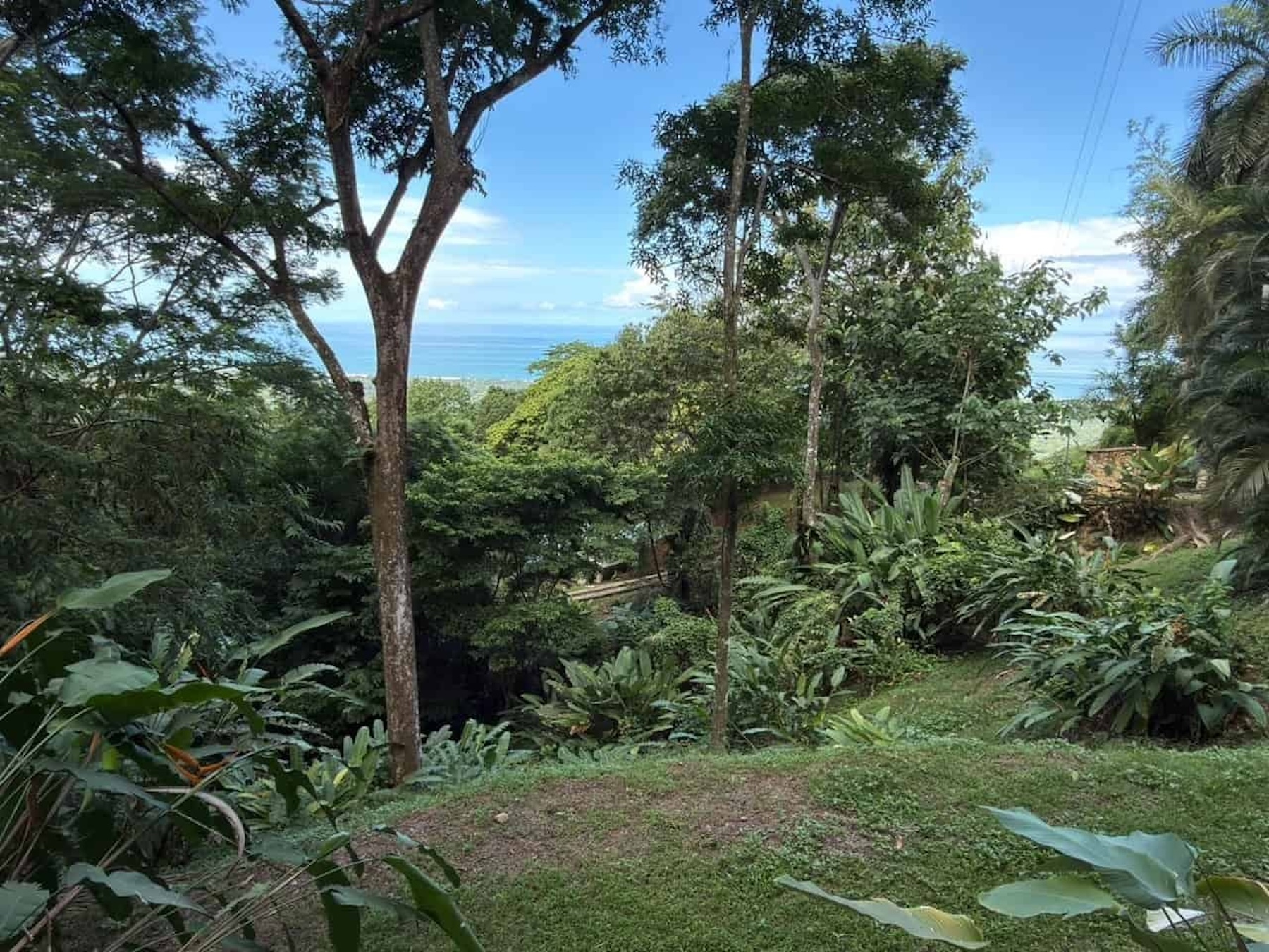 PROPERTY WITH OCEAN, RIVER, AND PRIVATE TROPICAL RAINFOREST VIEWS, IN MATAPALO – 13.98 ACRES