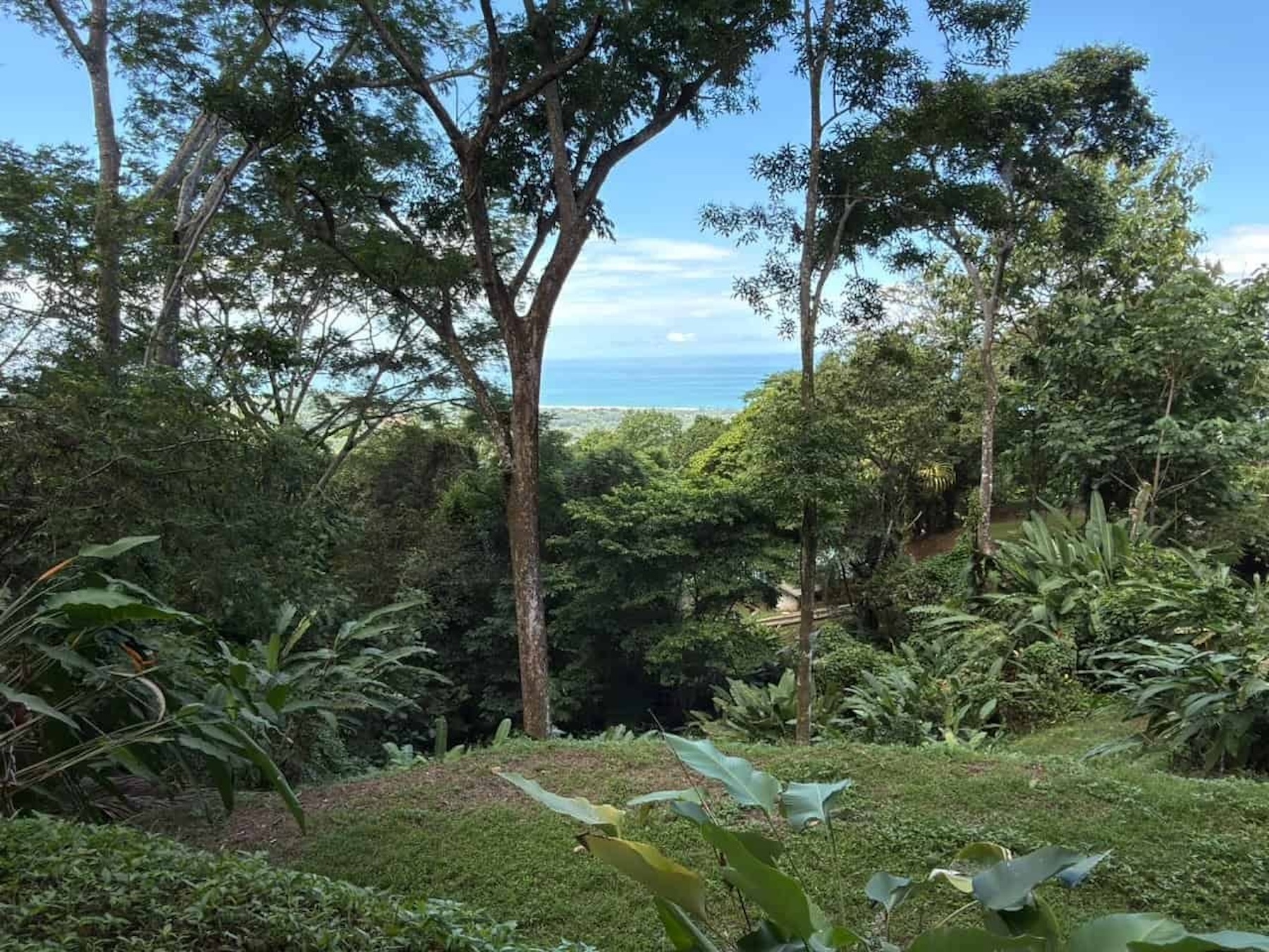 PROPERTY WITH OCEAN, RIVER, AND PRIVATE TROPICAL RAINFOREST VIEWS, IN MATAPALO – 13.98 ACRES