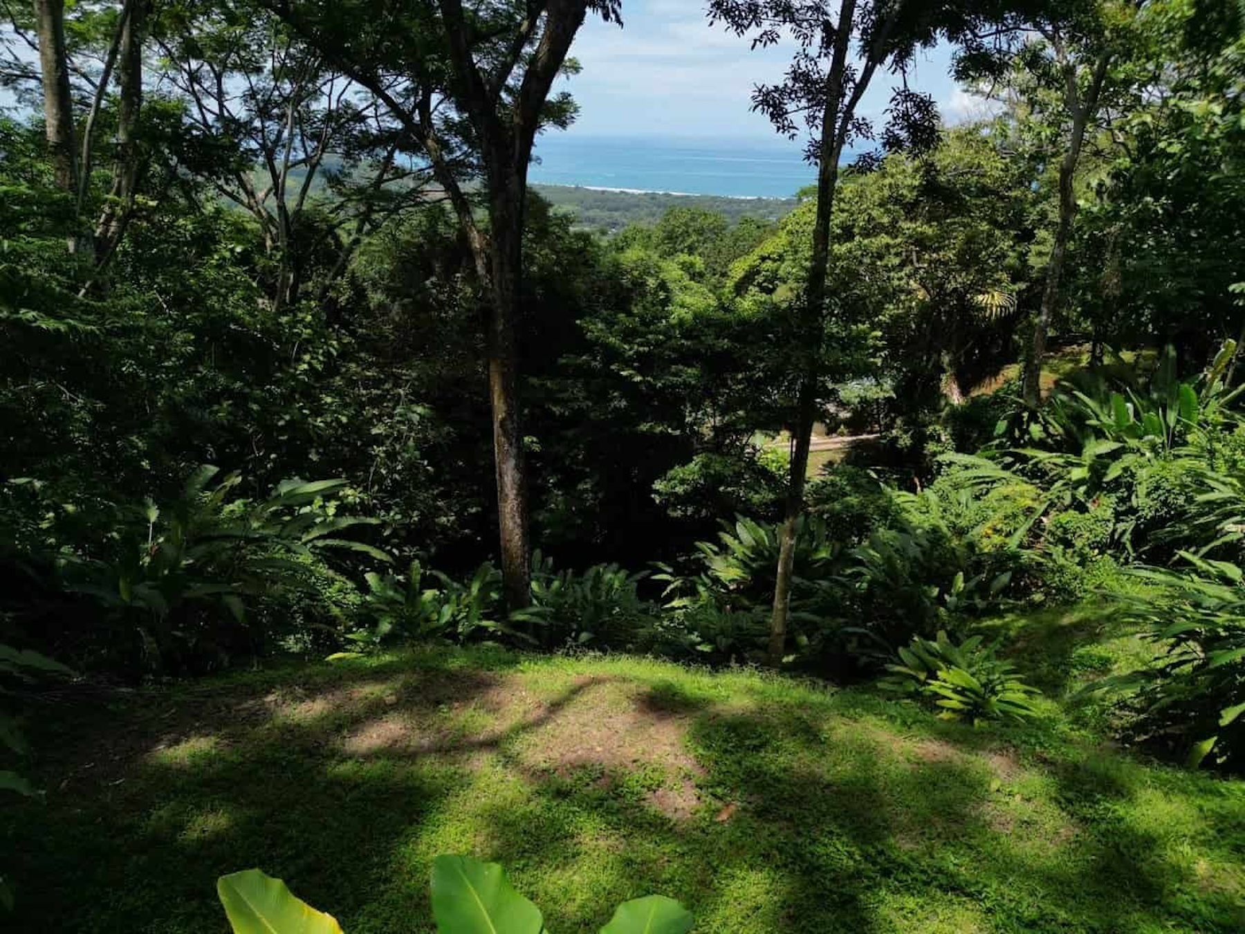 PROPERTY WITH OCEAN, RIVER, AND PRIVATE TROPICAL RAINFOREST VIEWS, IN MATAPALO – 13.98 ACRES