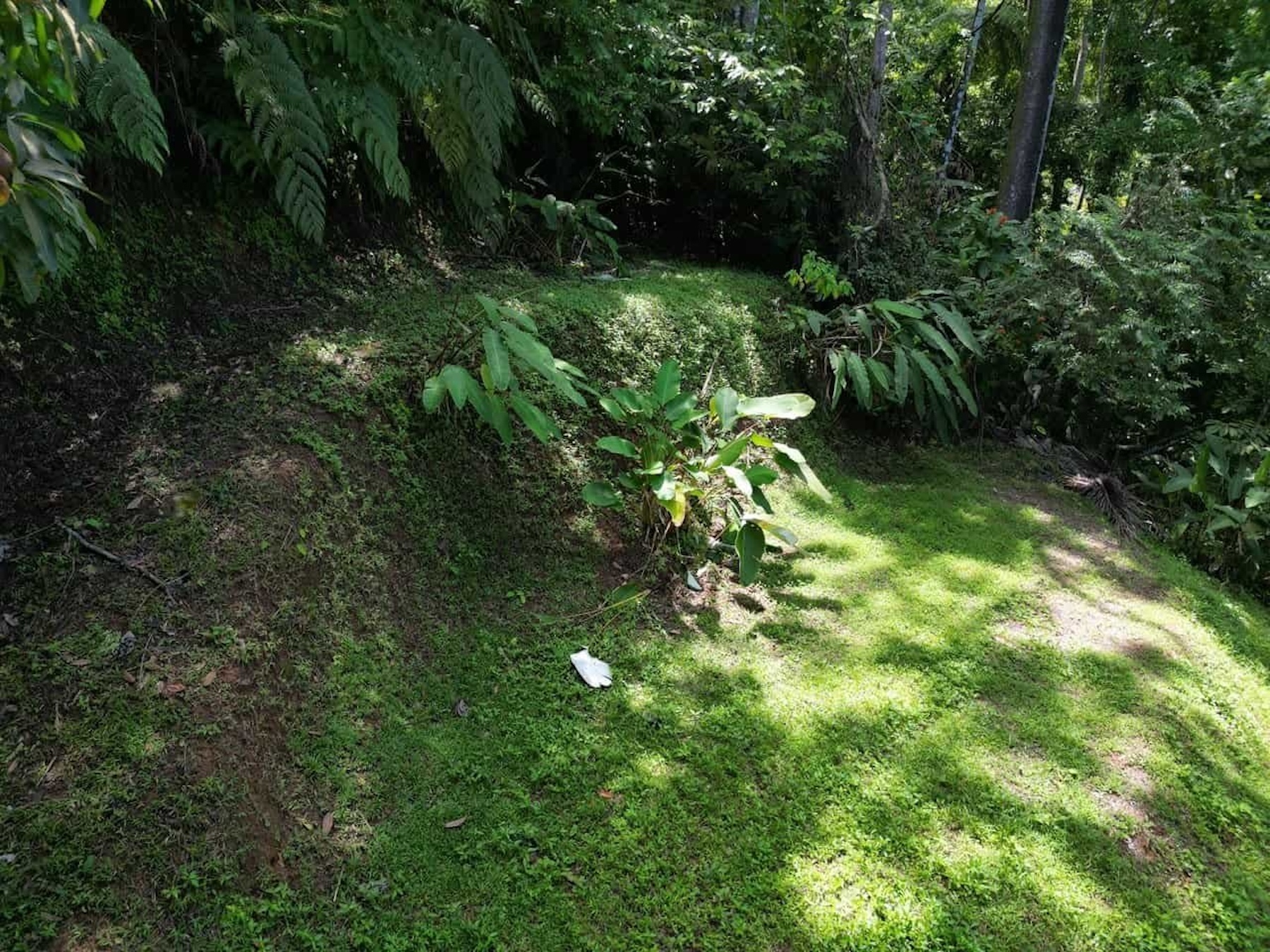 PROPERTY WITH OCEAN, RIVER, AND PRIVATE TROPICAL RAINFOREST VIEWS, IN MATAPALO – 13.98 ACRES