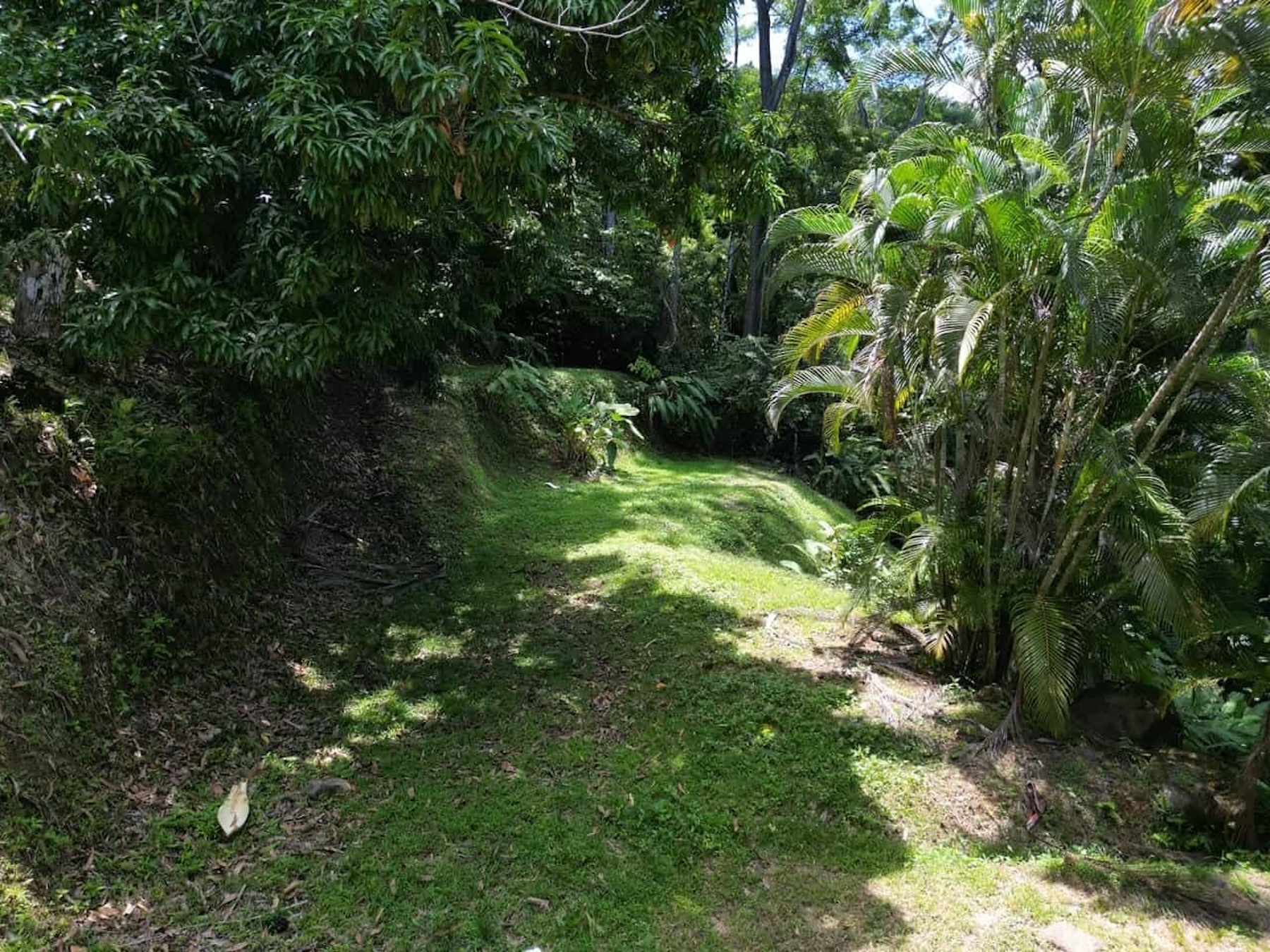 PROPERTY WITH OCEAN, RIVER, AND PRIVATE TROPICAL RAINFOREST VIEWS, IN MATAPALO – 13.98 ACRES