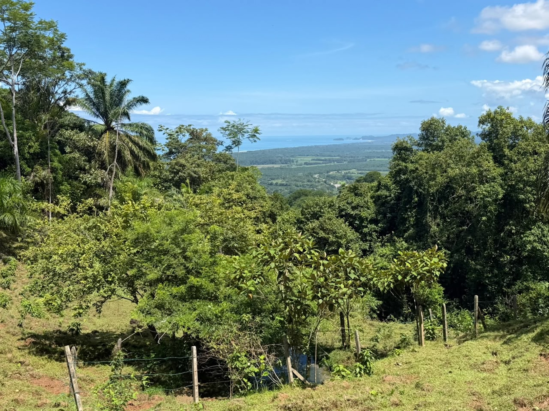EXCLUSIVE LAND WITH OCEAN VIEWS AND SPECTACULAR SUNSETS, IN MATAPALO – 1.51 ACRES