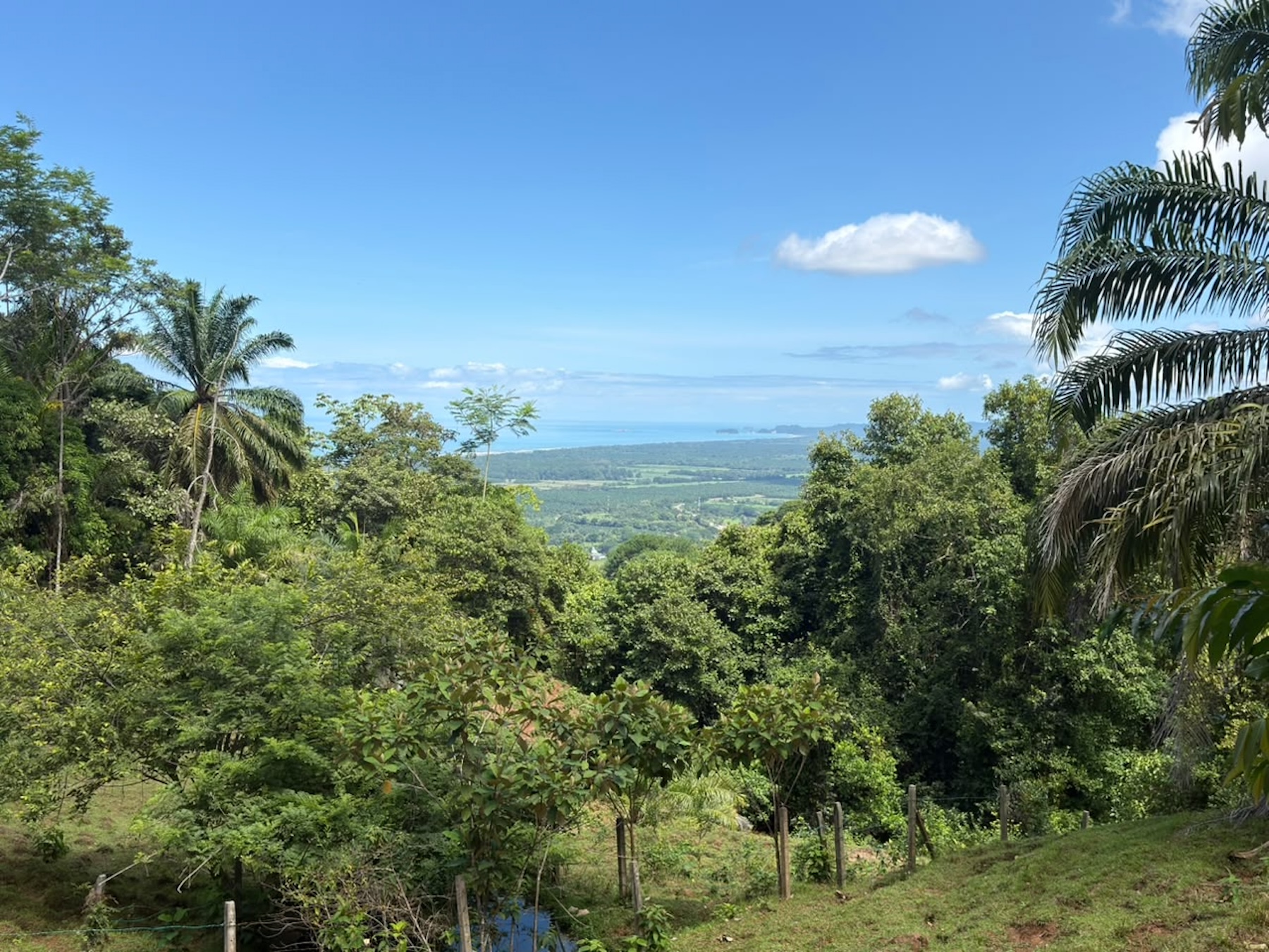 EXCLUSIVE LAND WITH OCEAN VIEWS AND SPECTACULAR SUNSETS, IN MATAPALO – 1.51 ACRES