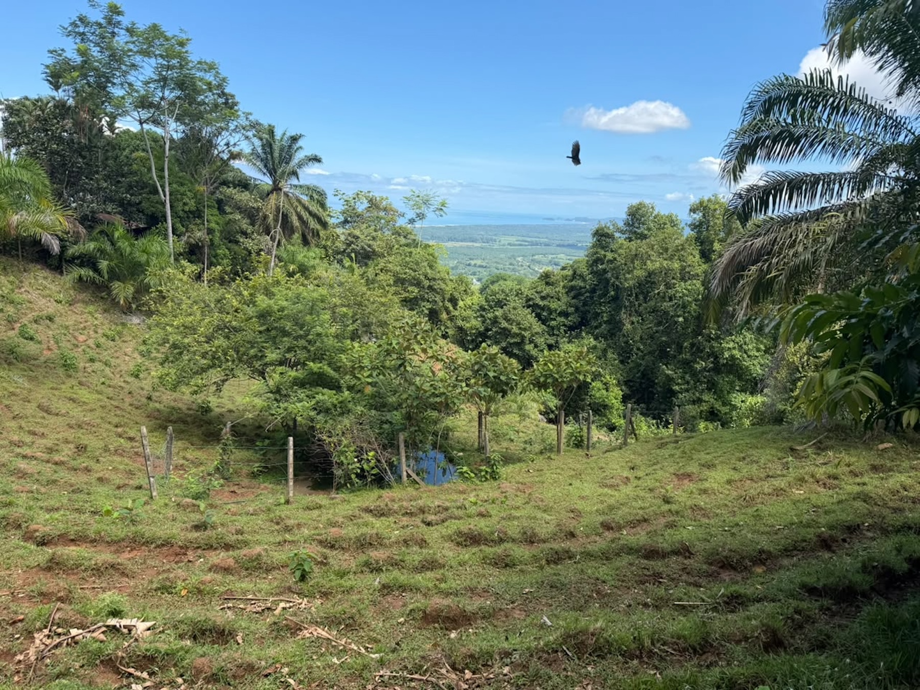 EXCLUSIVE LAND WITH OCEAN VIEWS AND SPECTACULAR SUNSETS, IN MATAPALO – 1.51 ACRES