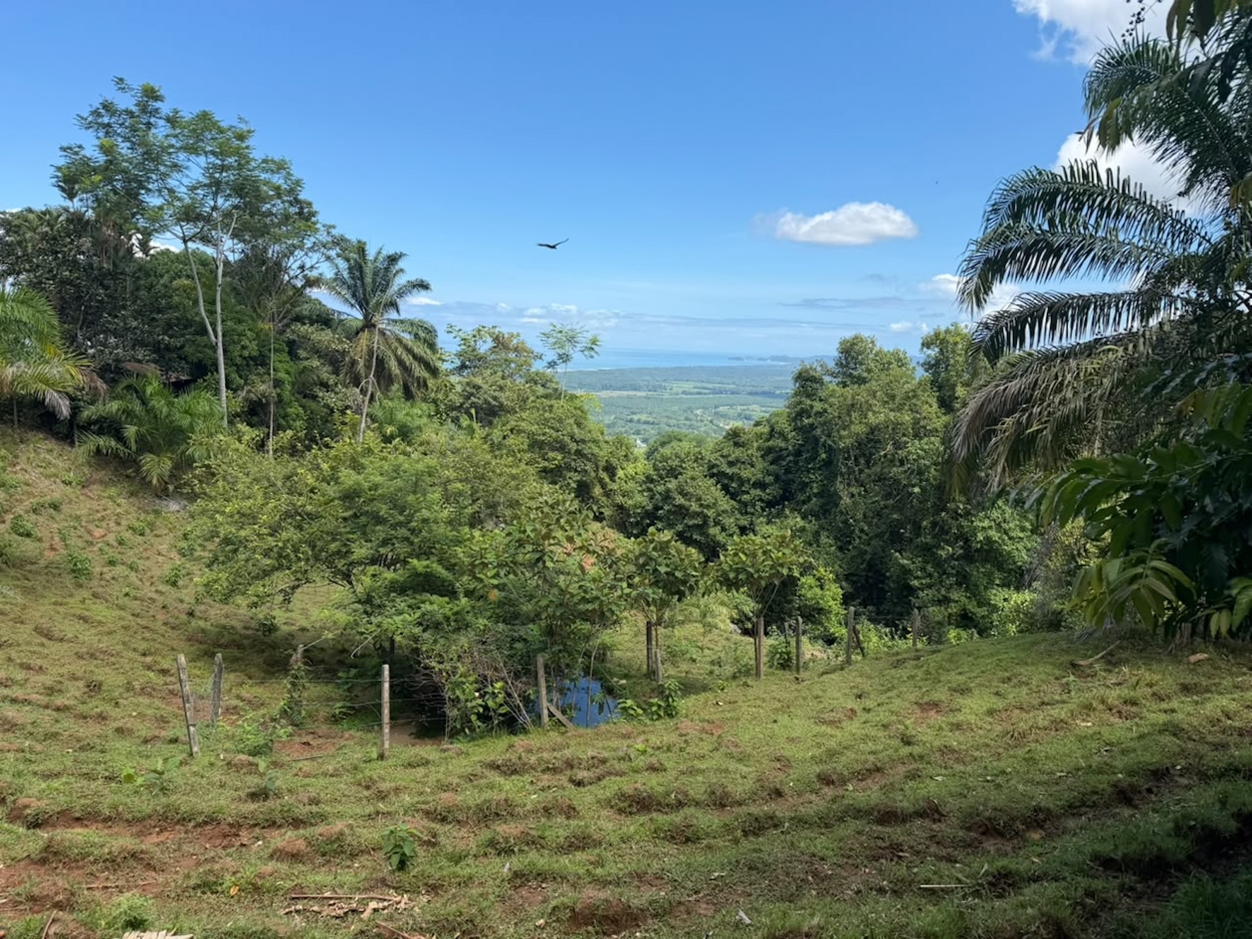 EXCLUSIVE LAND WITH OCEAN VIEWS AND SPECTACULAR SUNSETS, IN MATAPALO – 1.51 ACRES