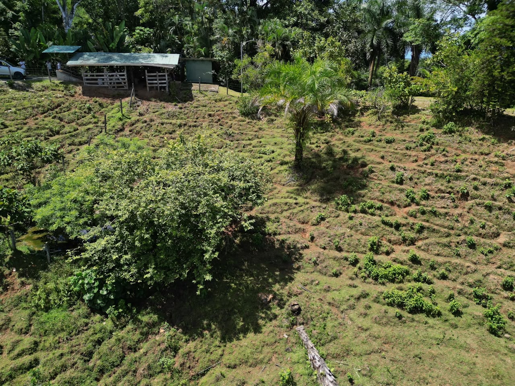 EXCLUSIVE LAND WITH OCEAN VIEWS AND SPECTACULAR SUNSETS, IN MATAPALO – 1.51 ACRES