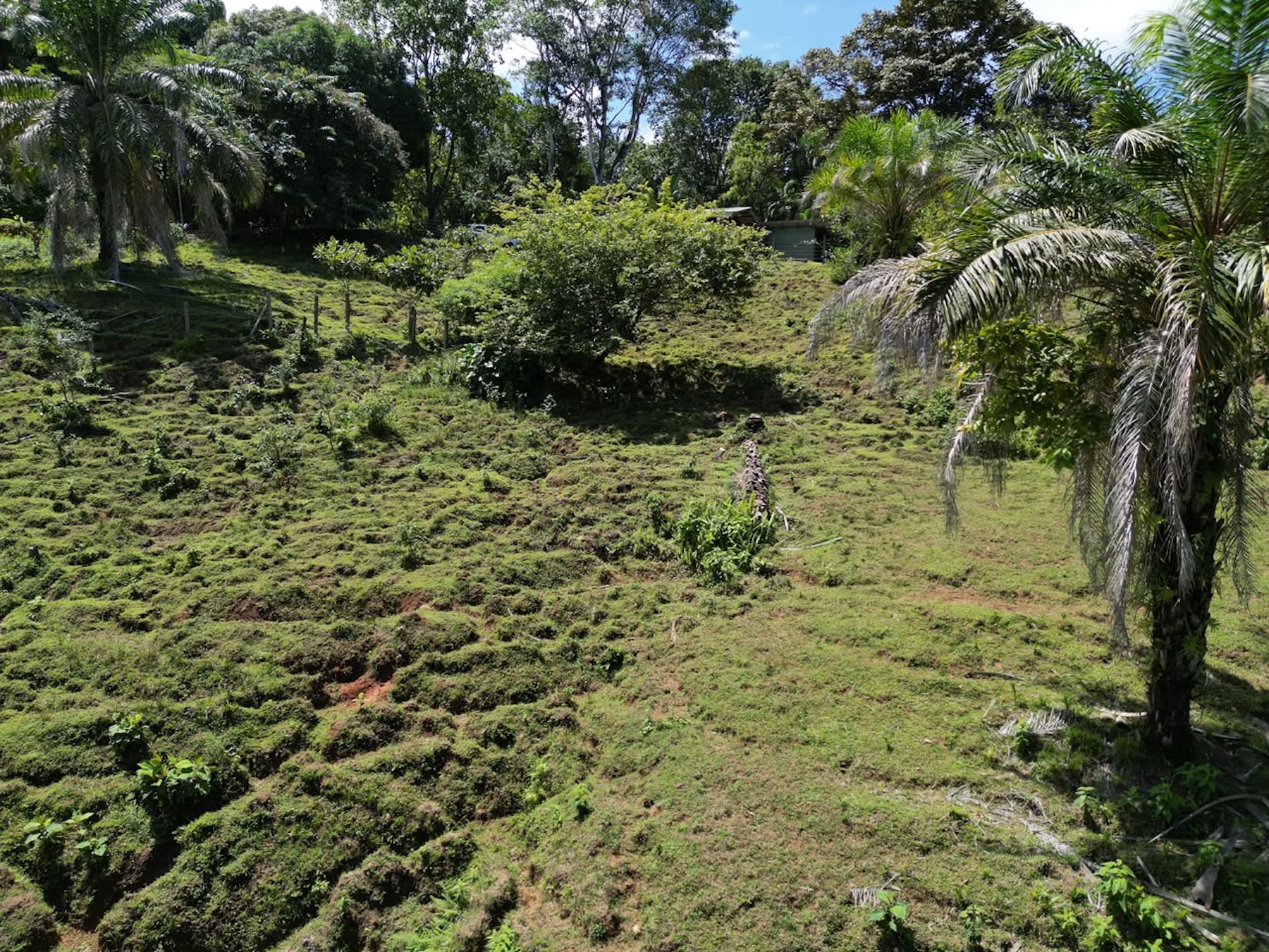 EXCLUSIVE LAND WITH OCEAN VIEWS AND SPECTACULAR SUNSETS, IN MATAPALO – 1.51 ACRES