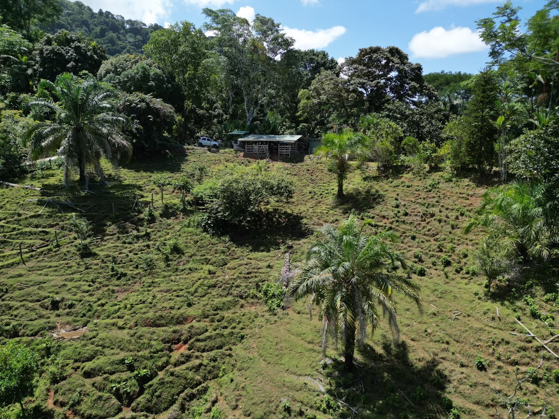 EXCLUSIVE LAND WITH OCEAN VIEWS AND SPECTACULAR SUNSETS, IN MATAPALO – 1.51 ACRES