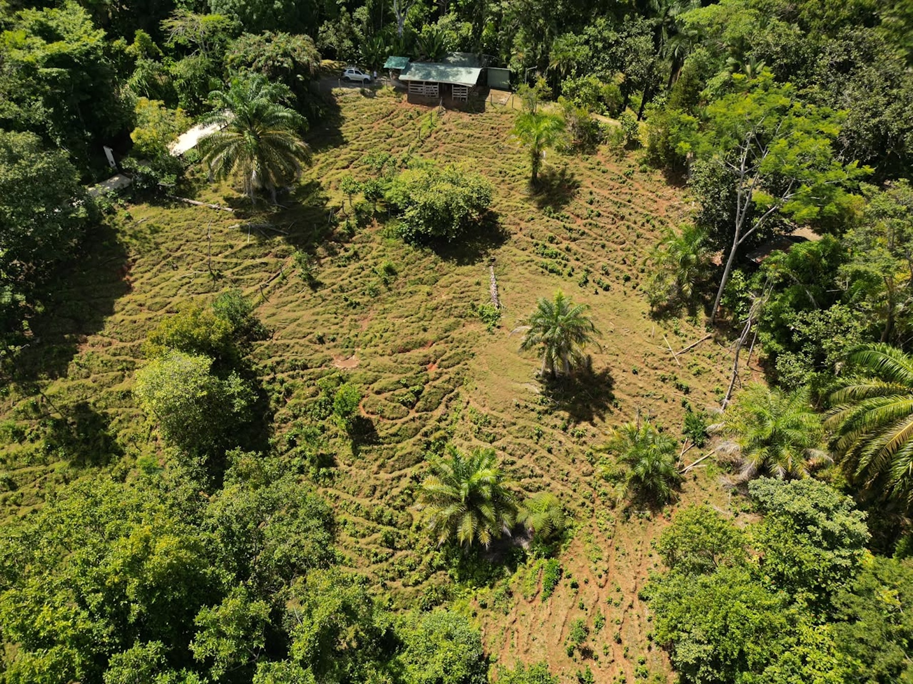 EXCLUSIVE LAND WITH OCEAN VIEWS AND SPECTACULAR SUNSETS, IN MATAPALO – 1.51 ACRES