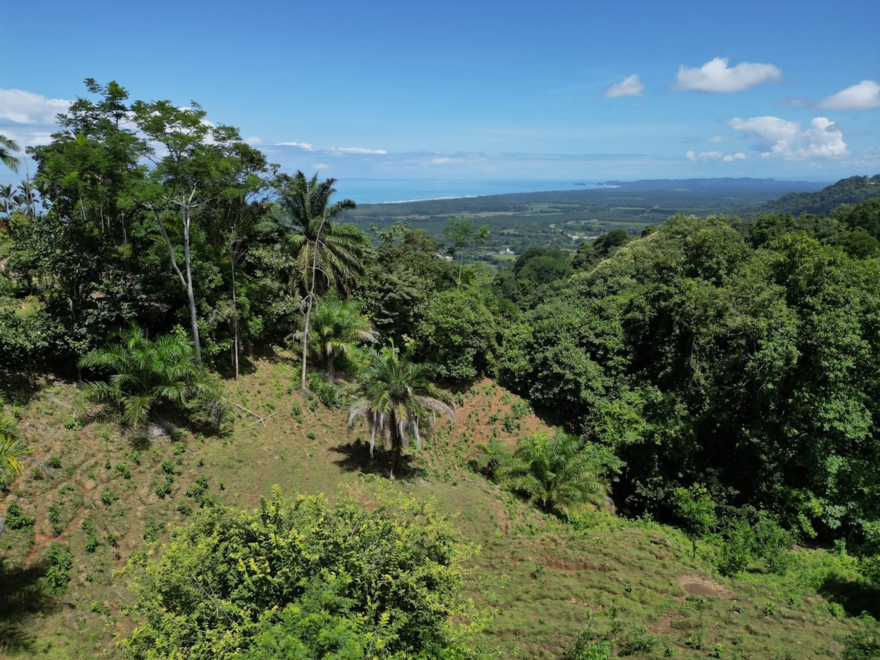 EXCLUSIVE LAND WITH OCEAN VIEWS AND SPECTACULAR SUNSETS, IN MATAPALO – 1.51 ACRES