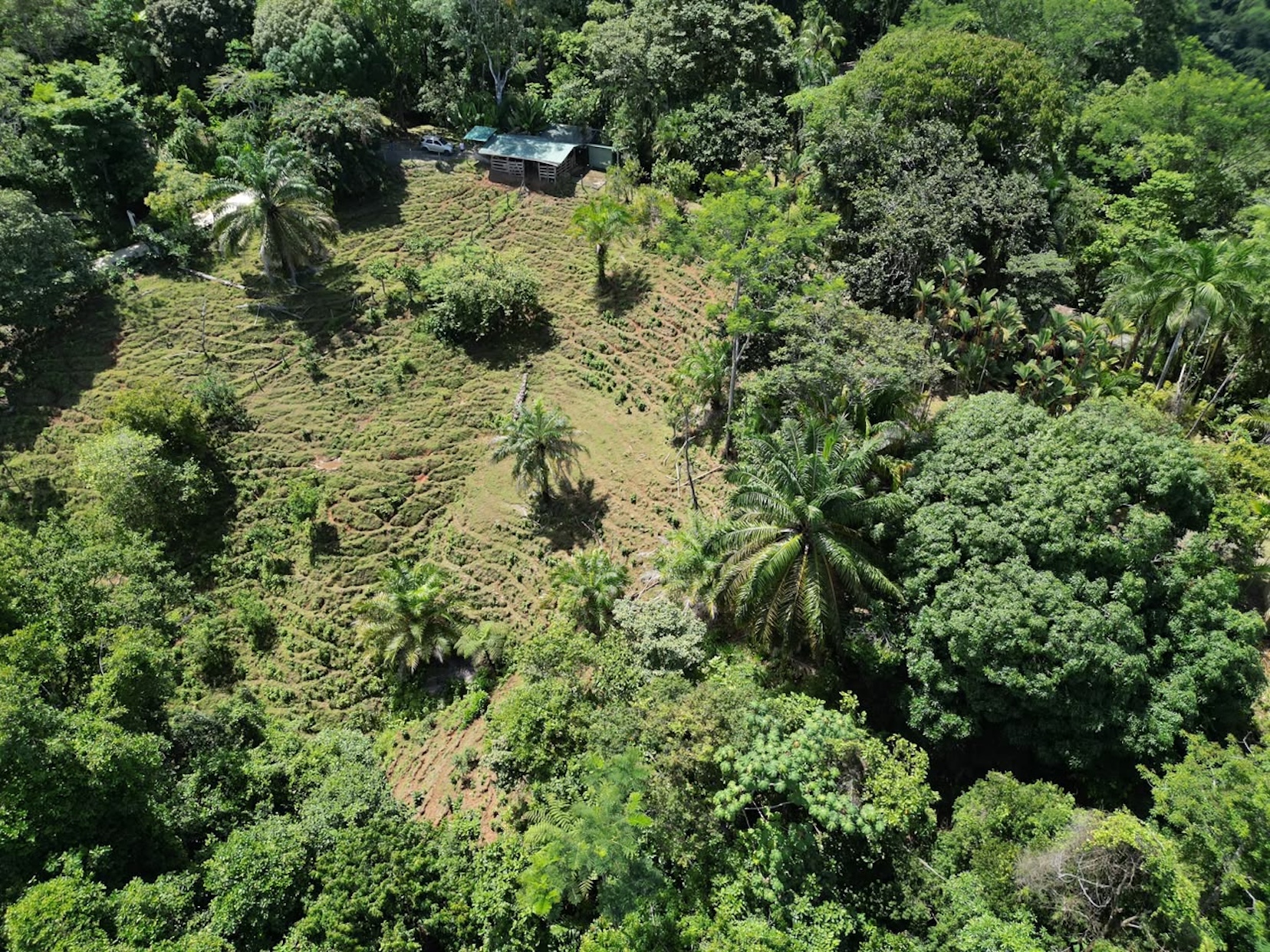 EXCLUSIVE LAND WITH OCEAN VIEWS AND SPECTACULAR SUNSETS, IN MATAPALO – 1.51 ACRES