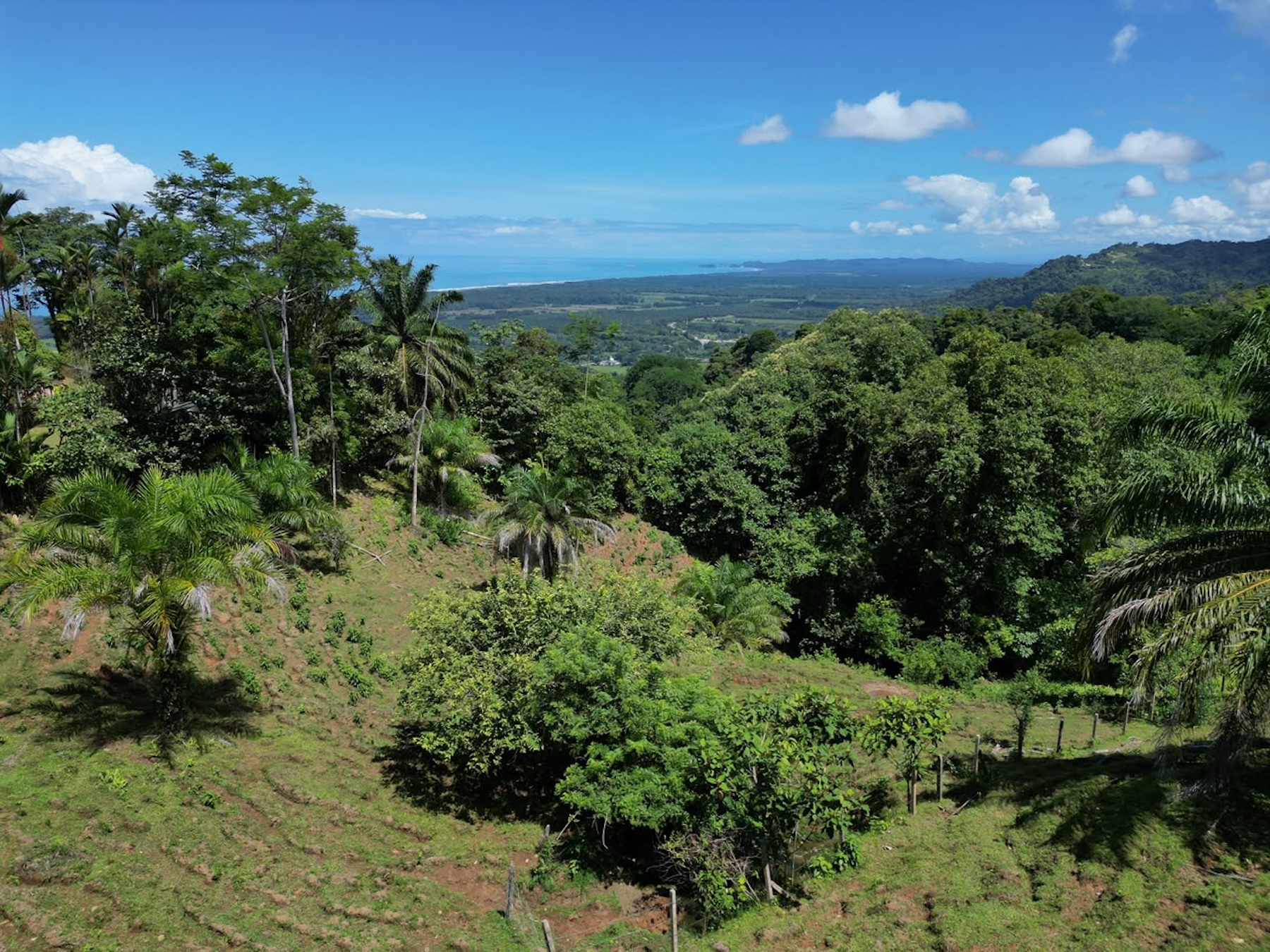 EXCLUSIVE LAND WITH OCEAN VIEWS AND SPECTACULAR SUNSETS, IN MATAPALO – 1.51 ACRES
