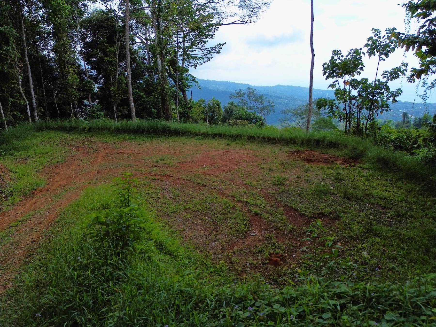 FLAT LAND WITH OCEAN VIEWS AND JUNGLE SURROUNDINGS, IN UVITA – 1.2 ACRES