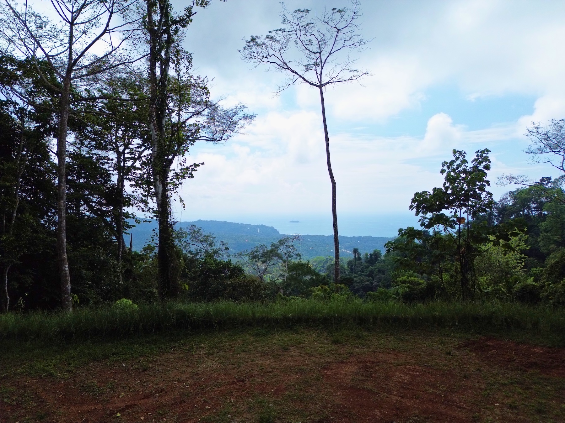 FLAT LAND WITH OCEAN VIEWS AND JUNGLE SURROUNDINGS, IN UVITA – 1.2 ACRES