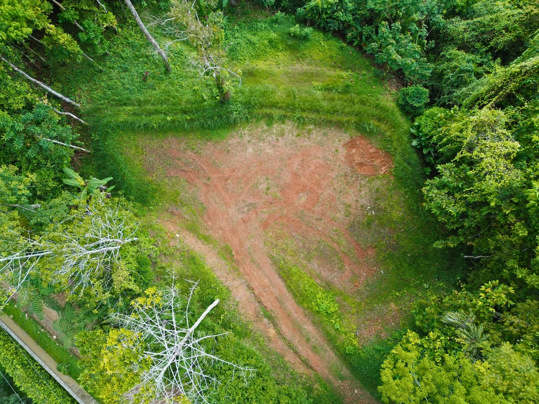 FLAT LAND WITH OCEAN VIEWS AND JUNGLE SURROUNDINGS, IN UVITA – 1.2 ACRES