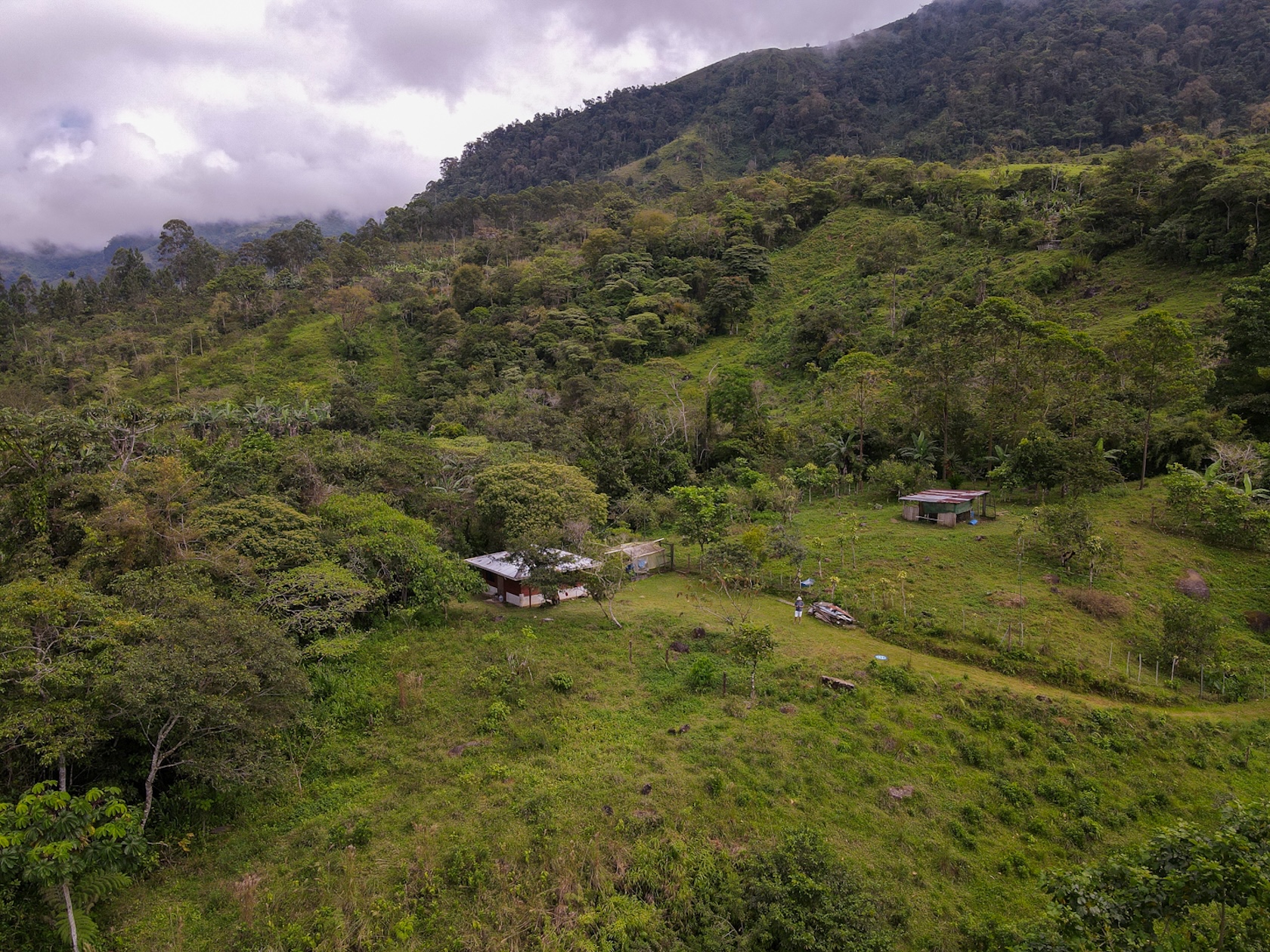 MOUNTAIN ESTATE WITH AGRICULTURAL PRODUCTION AND ECO-FRIENDLY HOUSE, IN ZAPOTAL PEREZ ZELEDON
