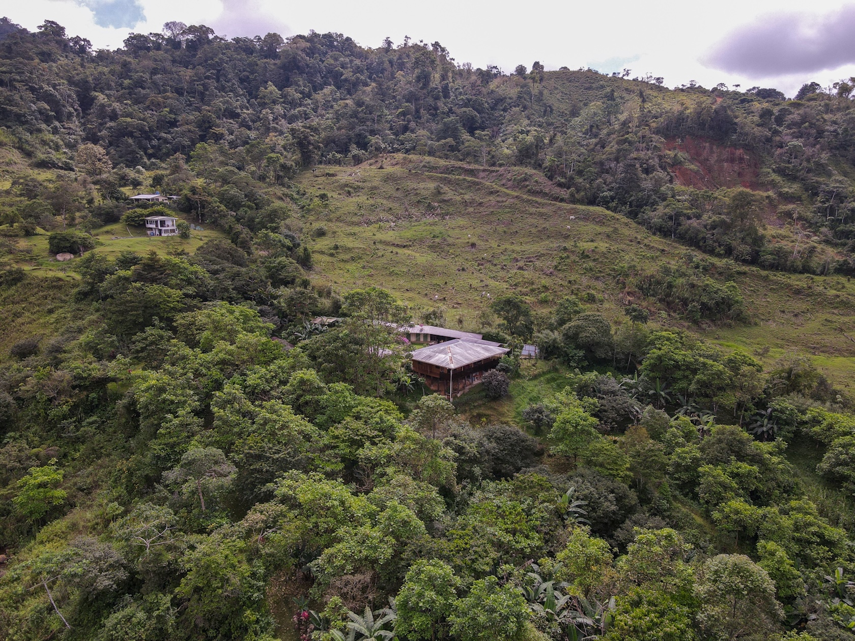 MOUNTAIN ESTATE WITH AGRICULTURAL PRODUCTION AND ECO-FRIENDLY HOUSE, IN ZAPOTAL PEREZ ZELEDON