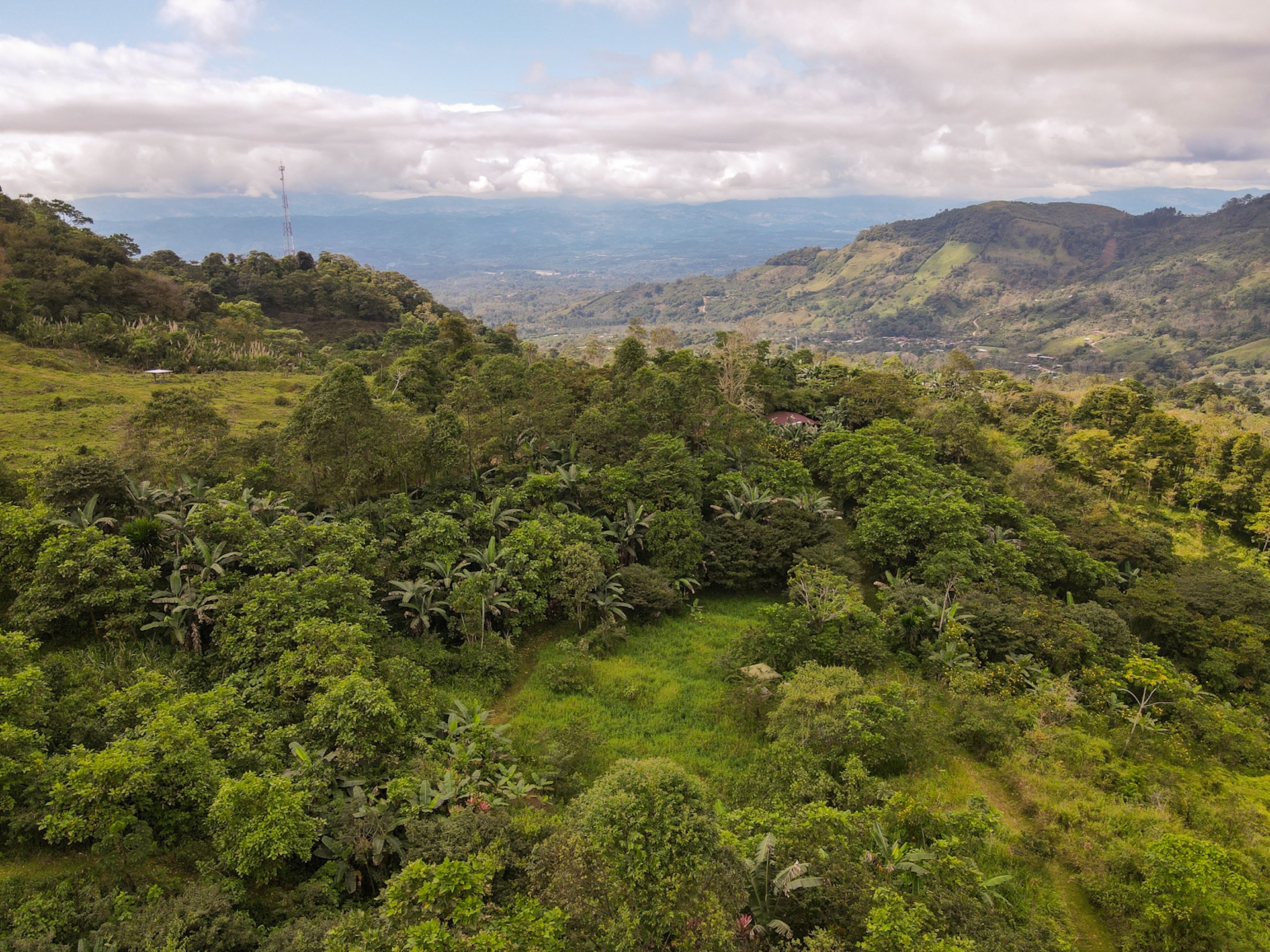 MOUNTAIN ESTATE WITH AGRICULTURAL PRODUCTION AND ECO-FRIENDLY HOUSE, IN ZAPOTAL PEREZ ZELEDON