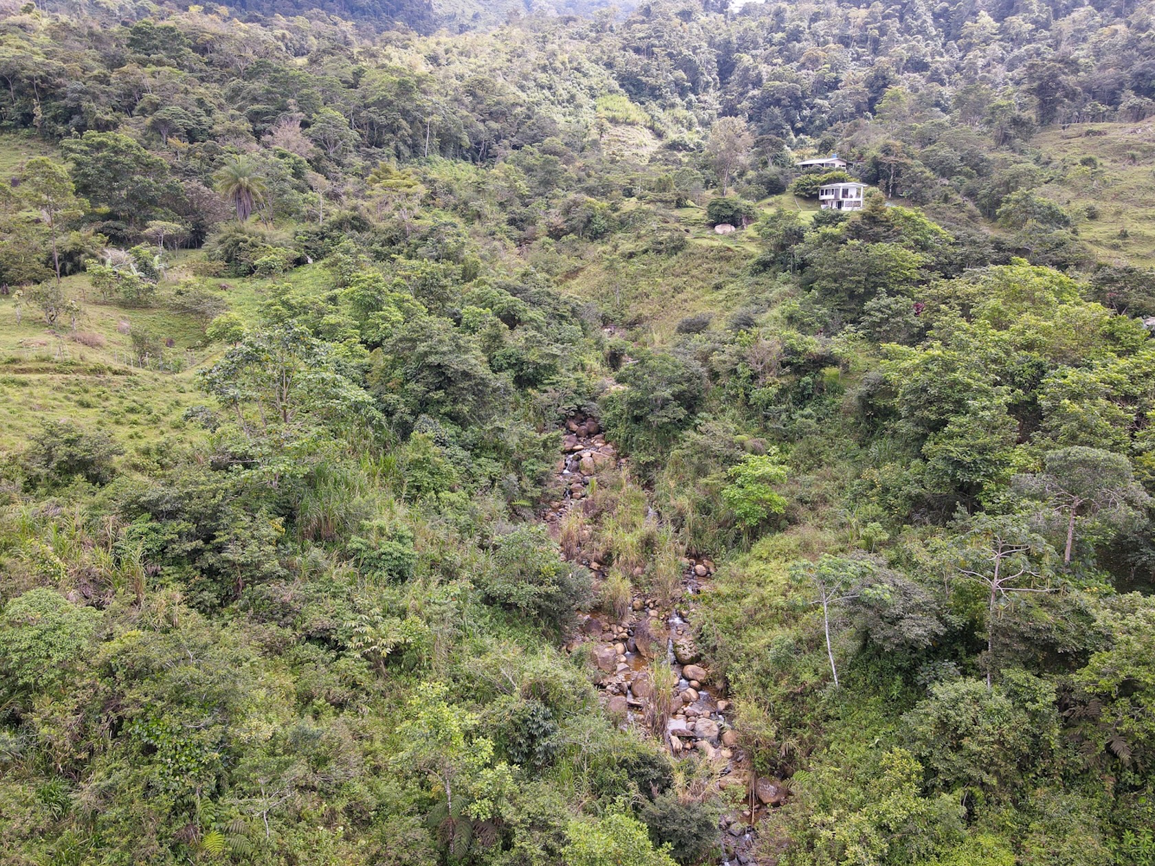 MOUNTAIN ESTATE WITH AGRICULTURAL PRODUCTION AND ECO-FRIENDLY HOUSE, IN ZAPOTAL PEREZ ZELEDON