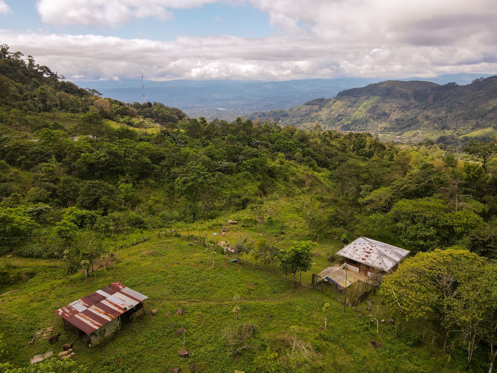MOUNTAIN ESTATE WITH AGRICULTURAL PRODUCTION AND ECO-FRIENDLY HOUSE, IN ZAPOTAL PEREZ ZELEDON