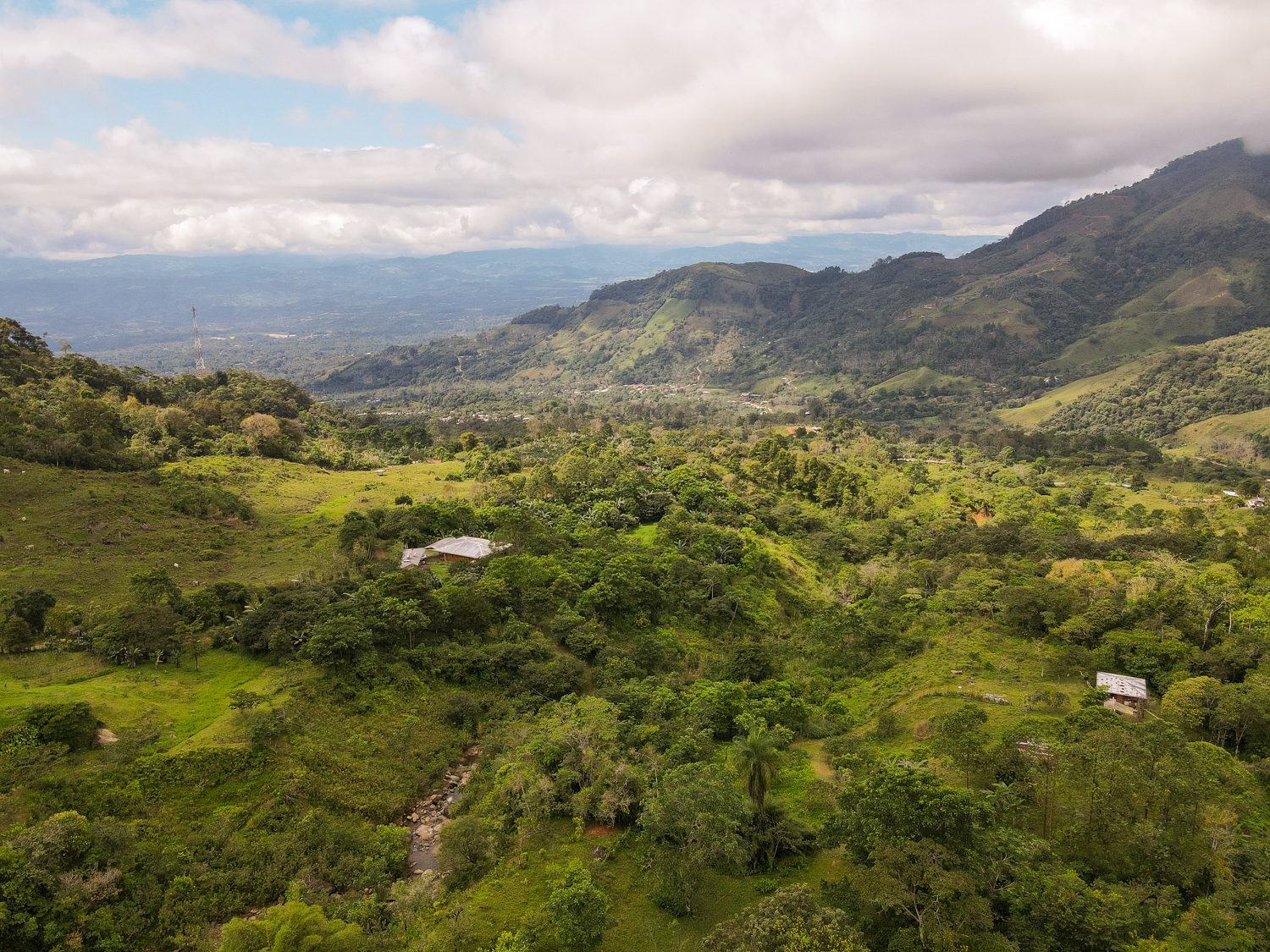 MOUNTAIN ESTATE WITH AGRICULTURAL PRODUCTION AND ECO-FRIENDLY HOUSE, IN ZAPOTAL PEREZ ZELEDON
