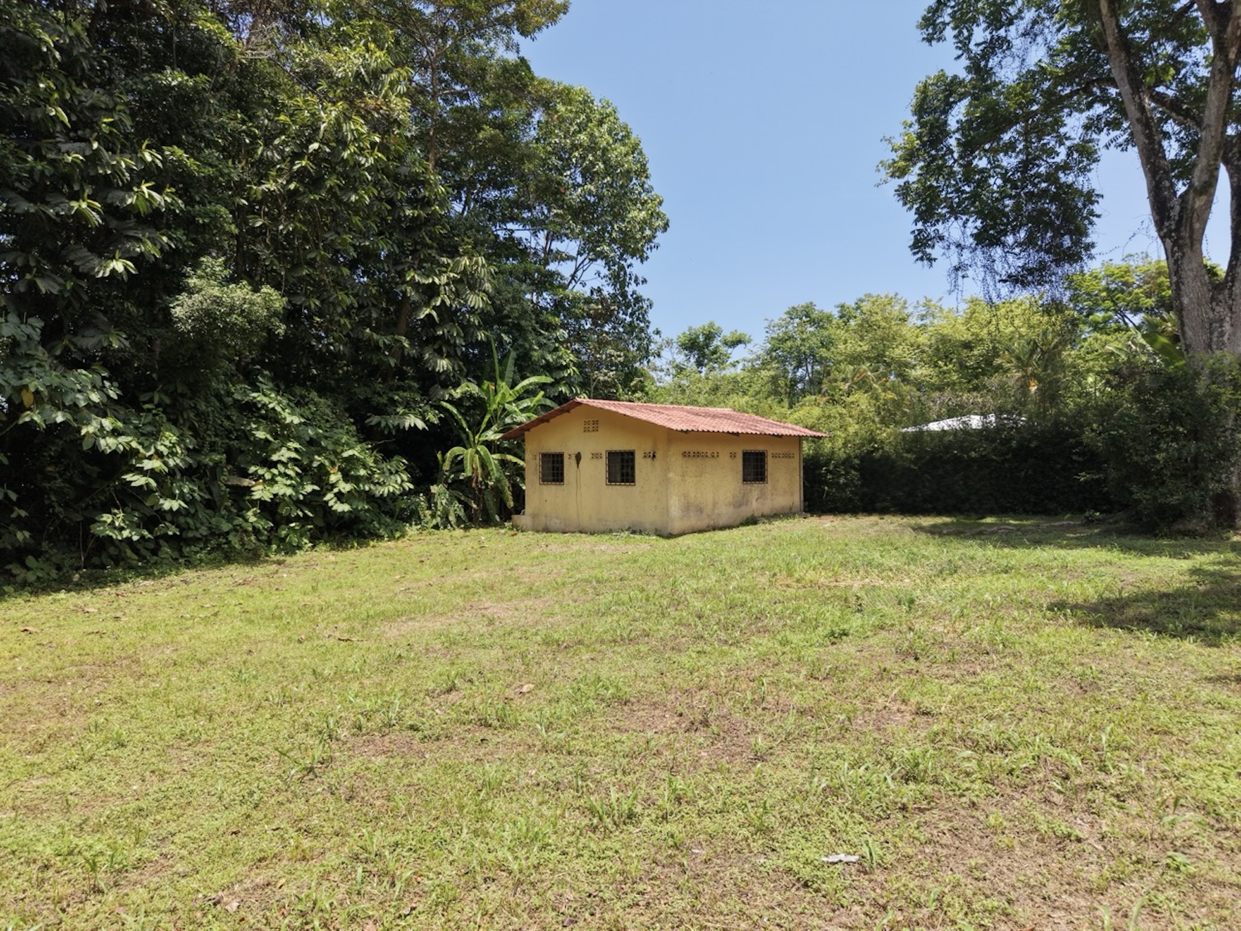 FLAT 1,201 M² PLOT WITH RESIDENTIAL AND COMMERCIAL ZONING, IN OJOCHAL