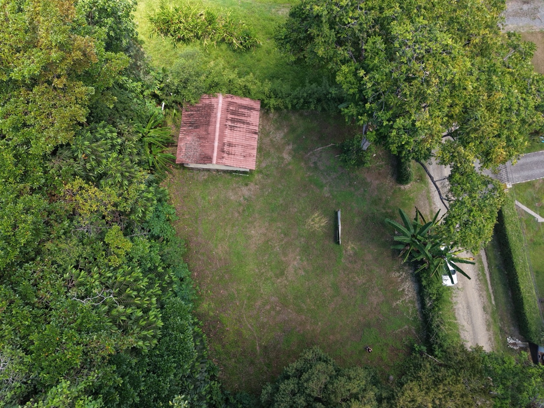FLAT 1,201 M² PLOT WITH RESIDENTIAL AND COMMERCIAL ZONING, IN OJOCHAL