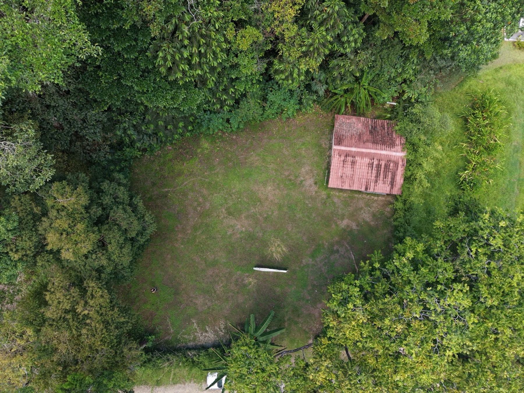 FLAT 1,201 M² PLOT WITH RESIDENTIAL AND COMMERCIAL ZONING, IN OJOCHAL