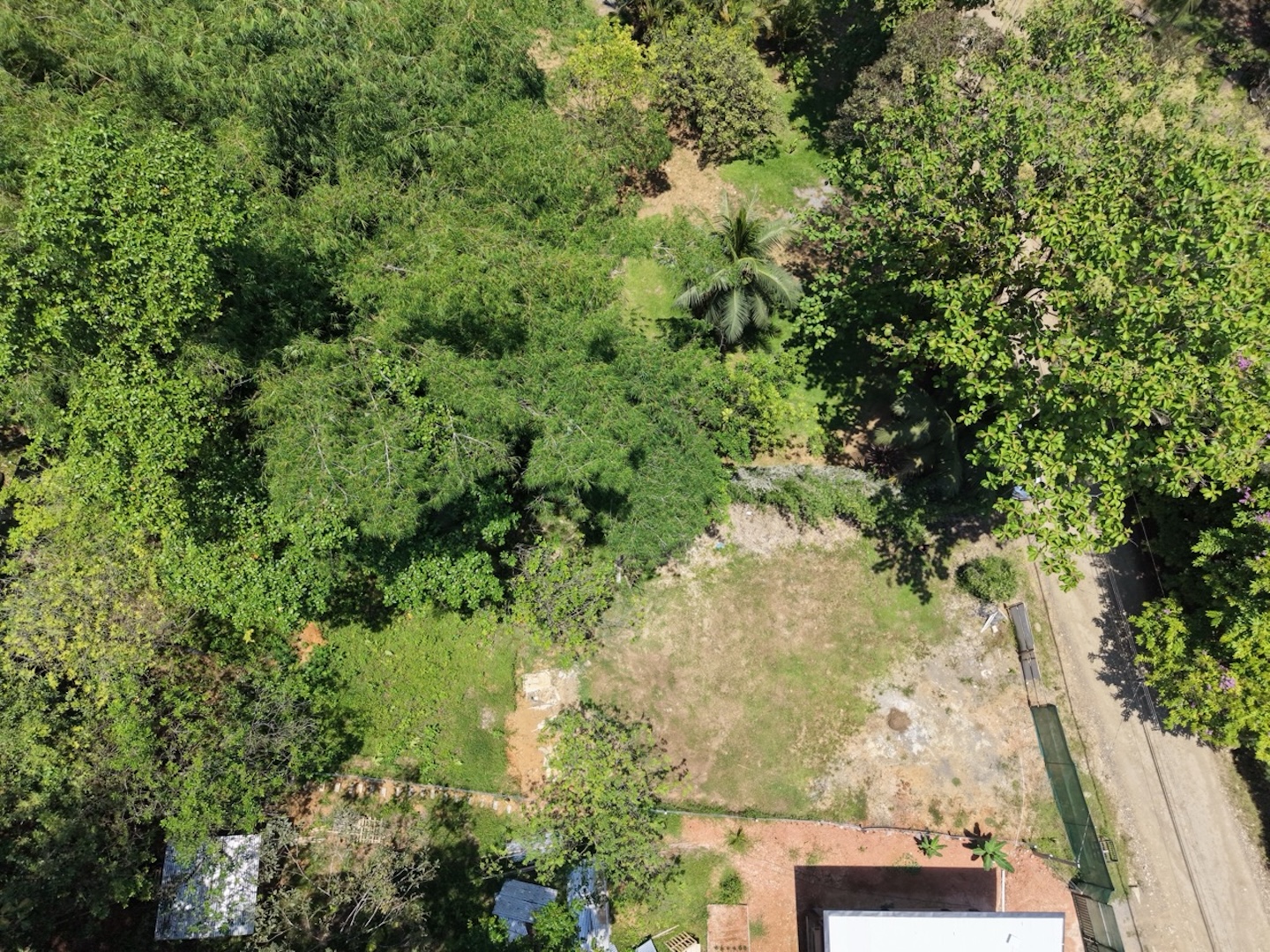 RESIDENTIAL AND COMMERCIAL LAND IN A PRIME LOCATION, IN OJOCHAL