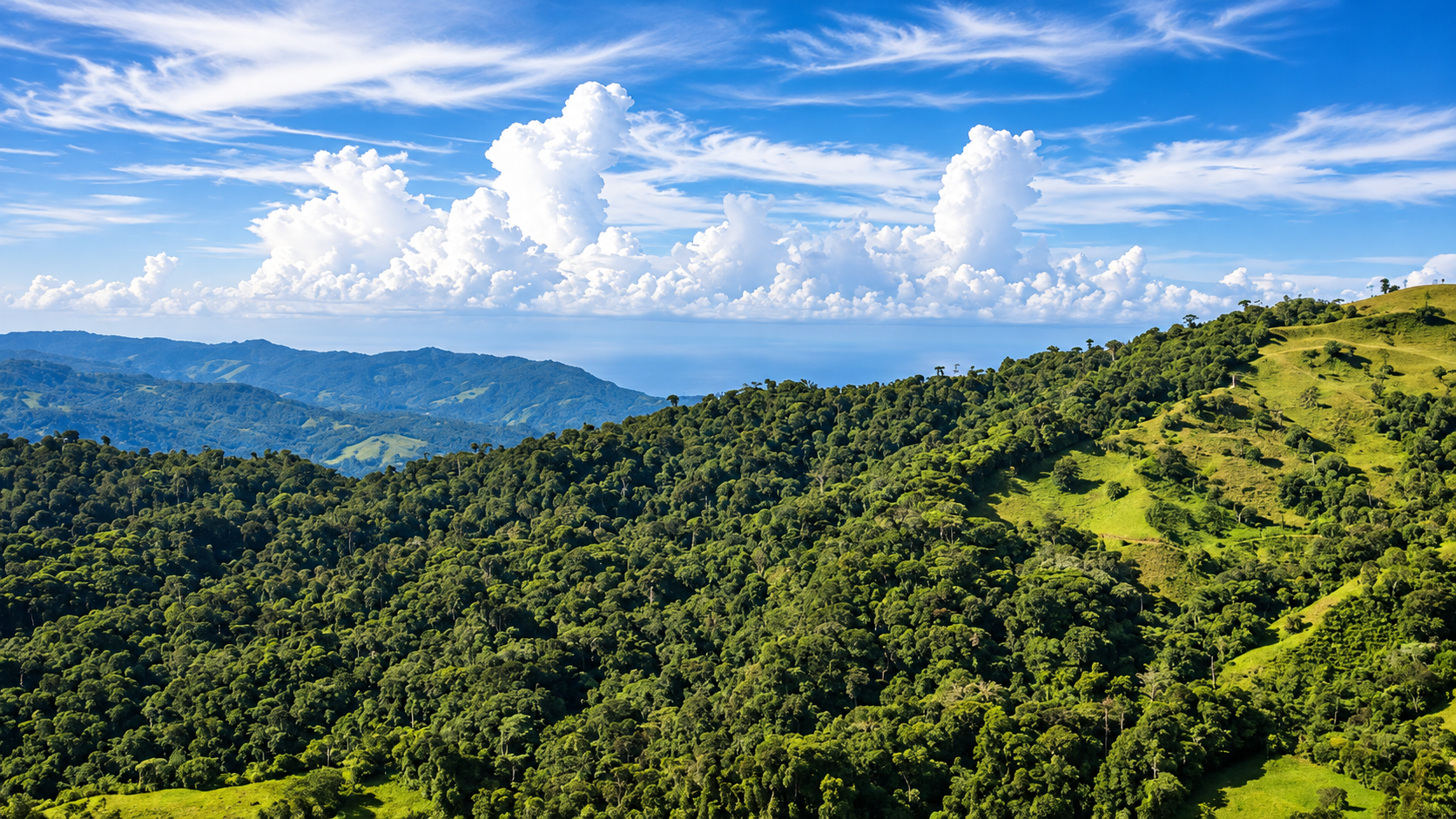 55.8-ACRE MOUNTAIN & OCEAN VIEW FARM WITH WATERFALL AND YEAR-ROUND WATER SOURCES – SAN ANTONIO DE RÍO NUEVO