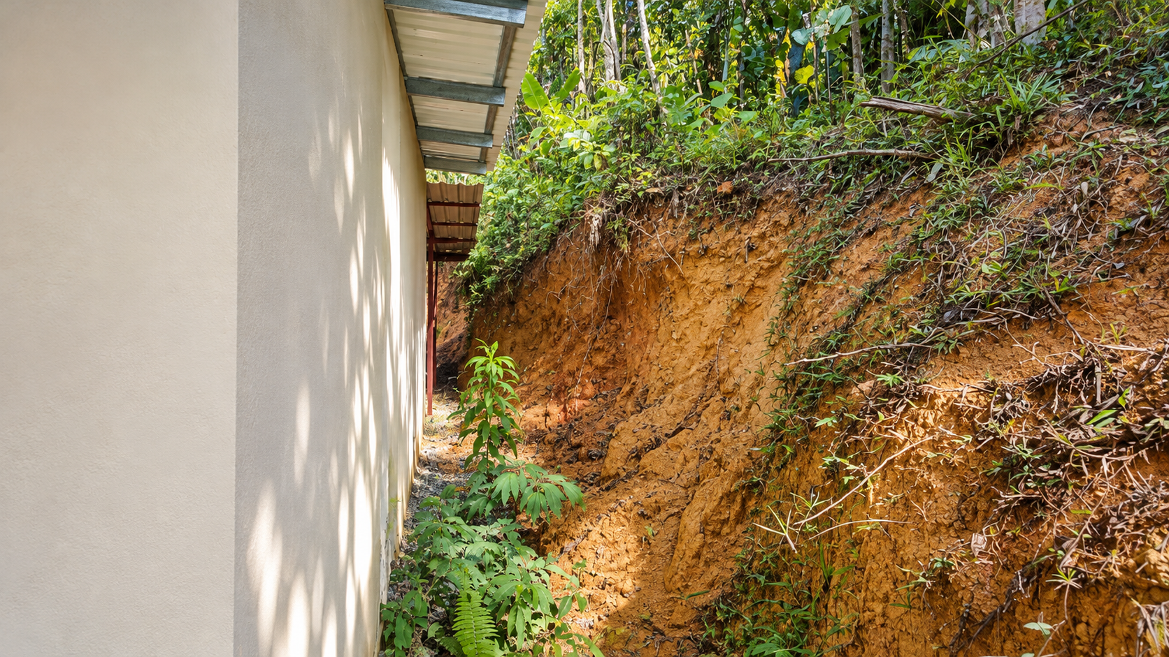 55.8-ACRE MOUNTAIN & OCEAN VIEW FARM WITH WATERFALL AND YEAR-ROUND WATER SOURCES – SAN ANTONIO DE RÍO NUEVO