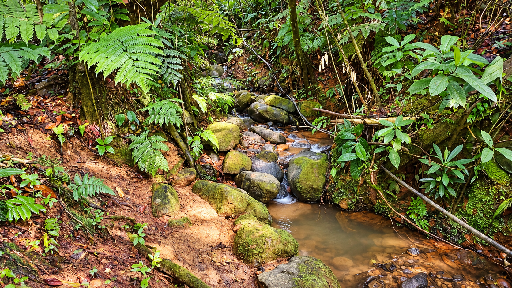 55.8-ACRE MOUNTAIN & OCEAN VIEW FARM WITH WATERFALL AND YEAR-ROUND WATER SOURCES – SAN ANTONIO DE RÍO NUEVO
