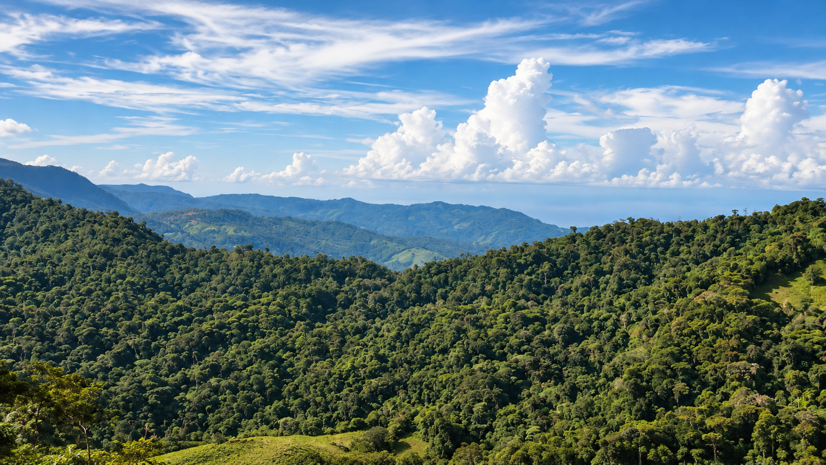 55.8-ACRE MOUNTAIN & OCEAN VIEW FARM WITH WATERFALL AND YEAR-ROUND WATER SOURCES – SAN ANTONIO DE RÍO NUEVO