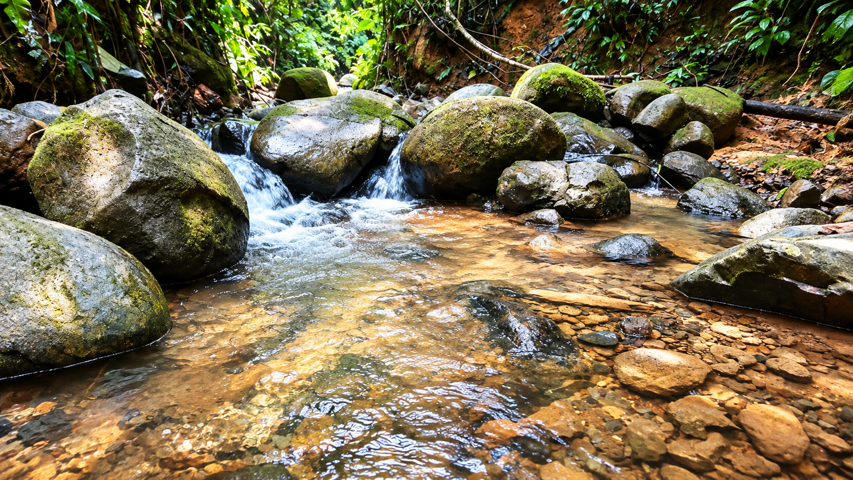55.8-ACRE MOUNTAIN & OCEAN VIEW FARM WITH WATERFALL AND YEAR-ROUND WATER SOURCES – SAN ANTONIO DE RÍO NUEVO
