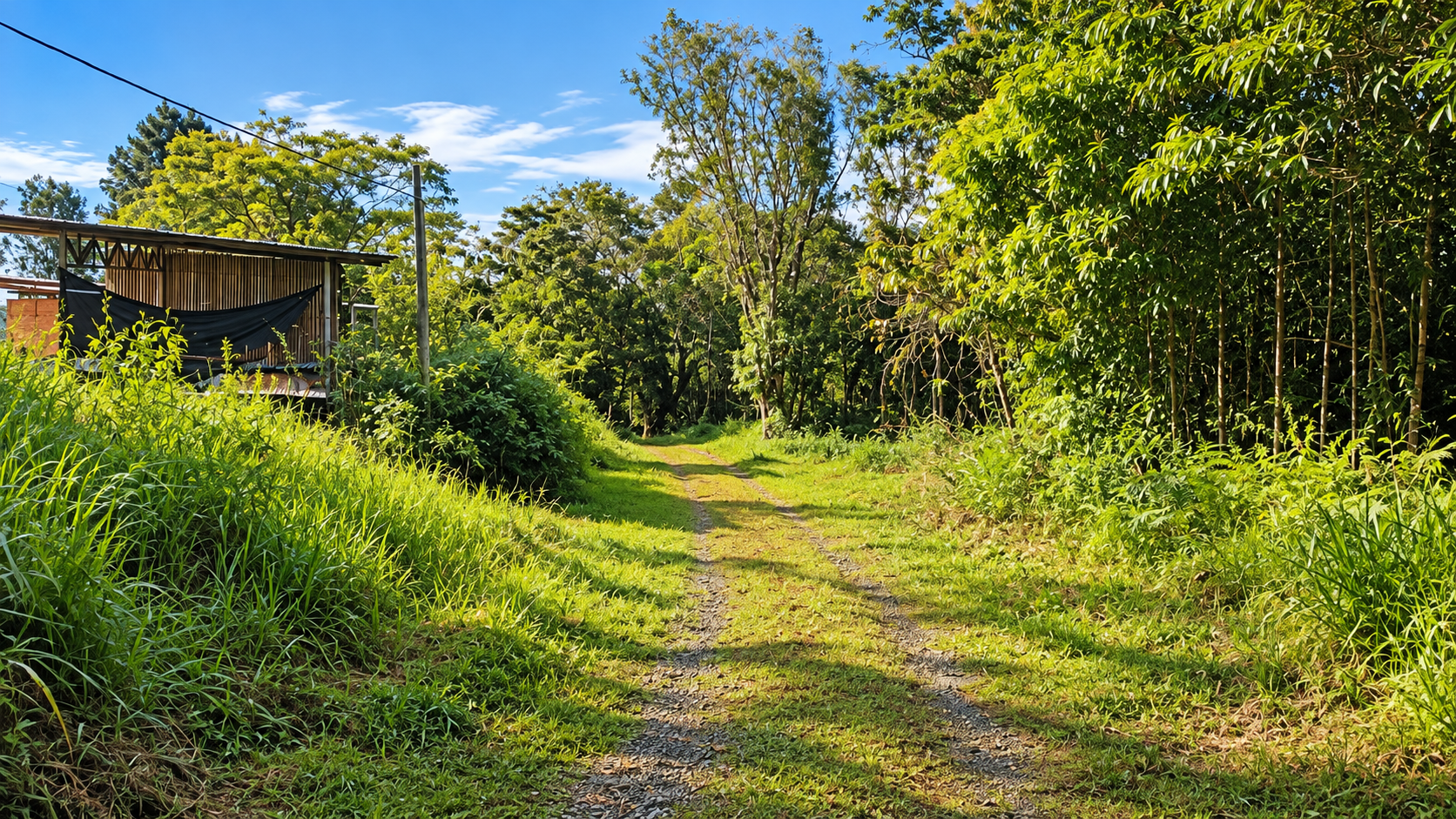 55.8-ACRE MOUNTAIN & OCEAN VIEW FARM WITH WATERFALL AND YEAR-ROUND WATER SOURCES – SAN ANTONIO DE RÍO NUEVO
